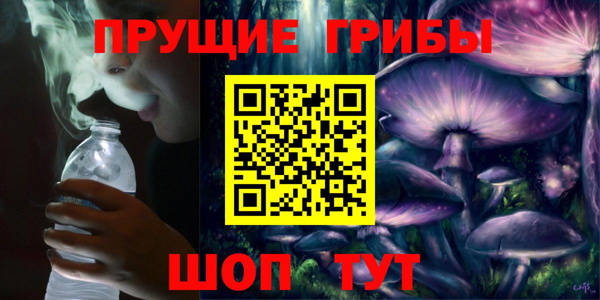 Псилоцибиновые грибы GOLDEN TEACHER  Вход с VPN  Озёрск 