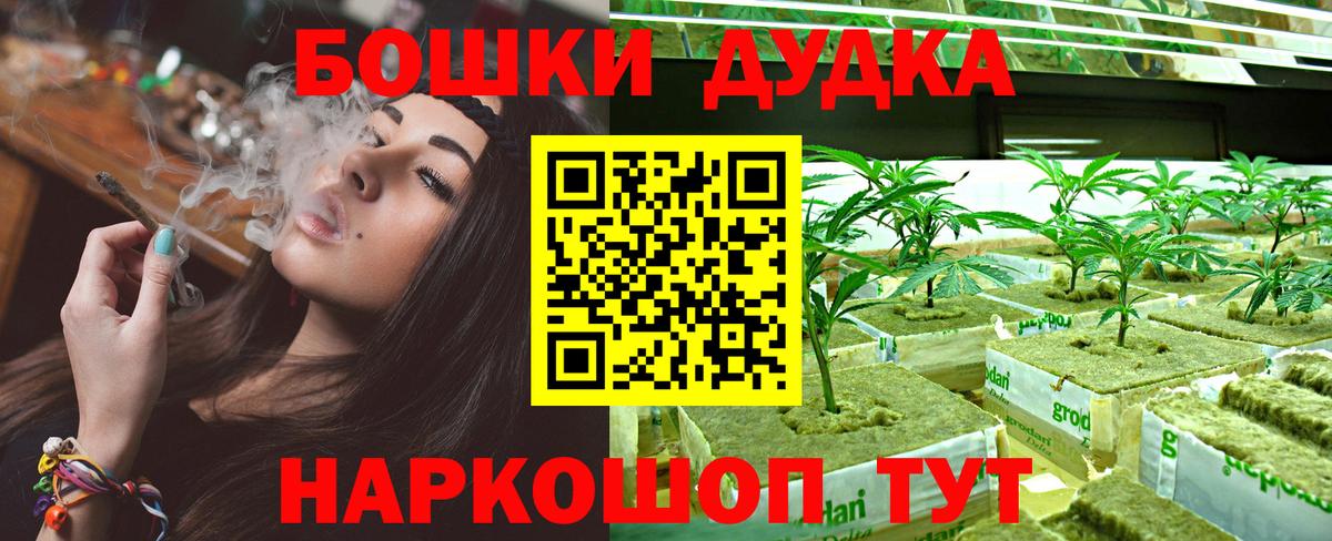 Бошки марихуана сатива Озёрск